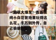 一起草大爆发！表面清纯小白花背地里玩得这么花，千万别外传，自己偷偷看就行！